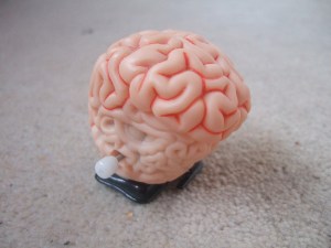 4163425385_d30cdd756d_z