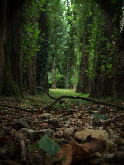 tumblr_nge5bhvvX31qfr1oco1_1280