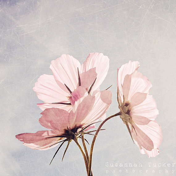 il_570xn-453613953_mcgc